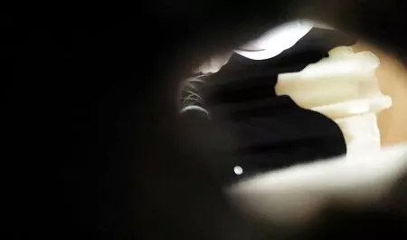Các chàng liếm chó của đặt cô ấy lên giường và cô phim sec nhat bang ấy cứng